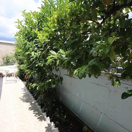 Garden 3*